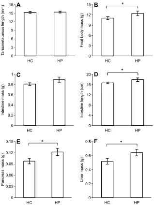 Fig. 8. Body measurements of 4-day-old nestling housesparrows after ingesting either the HC or the HP diet for24 h