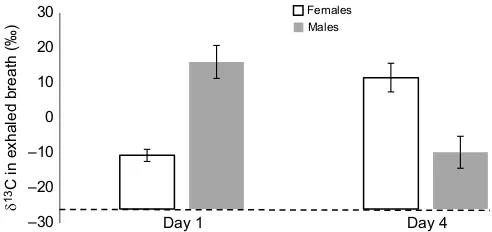 Fig. 1. δ13C in exhaled CO2 from 1 and 4 day old virgin male and femalemoths reared as larvae on a diet enriched with 13C-leucine