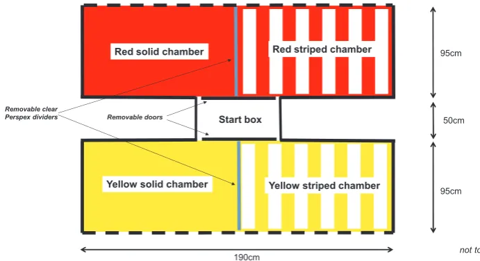 Fig. 1. Four-chambered CPP apparatus, viewed from above (not to scale).