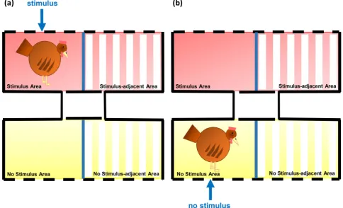 Fig. 2. Conditioning phase of Experiments 1 and 2: (a) Hens were exposed to the stimulus for three 5-minute conditioning trials in theapparatus, and (b) Hens were also exposed to no stimulus for three 5-minute conditioning trials in the “Stimulus Area” of 