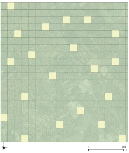 Figure 10. 1 ha grid overlaid on zone 1 of the study area, and the 20 randomly sampled areas,representing 5 % of the area, used for error assessment.