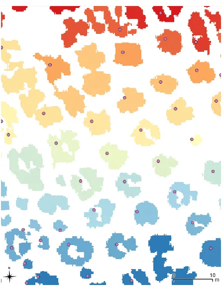 Figure 7. Centres of segments representing individual, isolated, tree crowns. No centres are shown forsegments larger than 18 m2 as they are analyzed further to determine if they encompass multiple treecrowns.