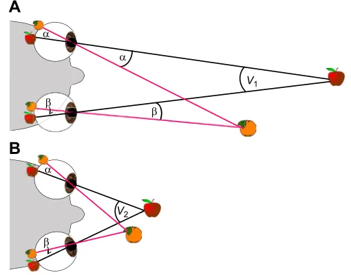 Fig. 1).