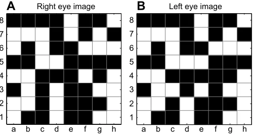 Fig. 3. Simplified example of a cyclopean stimulus. The images are bothindividually. If this image is viewed with the eyes crossed so that each eyeviews the image labelled for it, it is possible to see this patch floating in front ofthe page, although the 