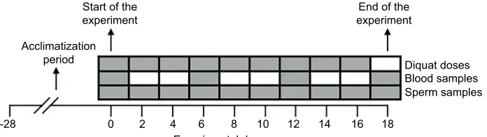 Fig. 1. Diagram of the experimental plan usedfor the current study. Shaded cells correspondto a manipulation on the given day