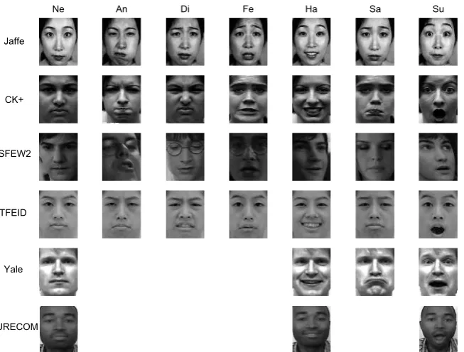 Figure 5. Examples of six expression databases.