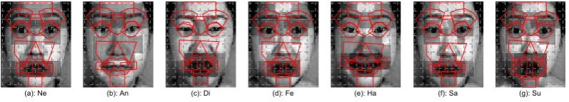 Figure 8eyes and mouth. The most representative regions of the laugh expression (e) are the brow, mouth andfrom the ﬁgure that the most representative parts of the surprise expression (g) are the brows, shows the top three most representative AUs of each expression, one can observenasolabial parts.