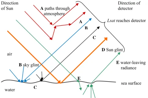 Figure 2. Schematic diagram showing routes by which light can reach a remote sensing detector