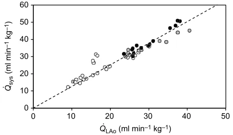 Fig. 1. Linear relationship between the measured rate of blood flow to thesystemic circuit (snapping turtles.circles) after feeding.Q Q_sys) and rate of blood flow through the left aorta ( Q_LAo)at 0, 12 and 24 h after feeding in 5-year-old control [21% O2