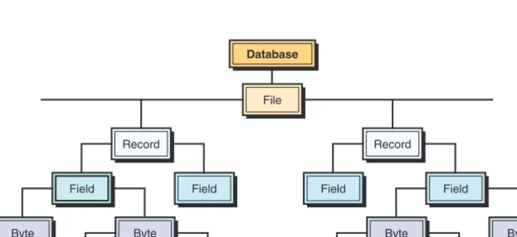 FIGURE T3.1 Hierarchy of data for a  computer-based file. File DatabaseRecordFieldByteByteBitBit RecordField ByteByteBitBitFieldField