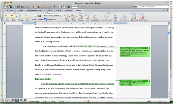 Fig. 1. Comments left in Microsoft Word for Mac 2011. 