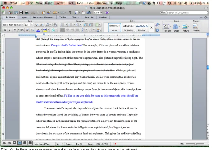 Fig. 3. Inline comments made using regular type tools in Word. 