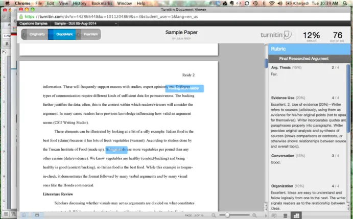 Fig. 6. Student view of drag-and-drop reusable comments seen on the text in Turnitinʼs  GradeMark, as well as rubric information displayed to the right