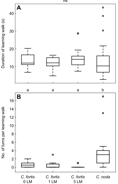 Fig. 3. Comparison of early learning walks performed by two differentCataglyphiswith no, one or three artificial landmarks) or between the two species