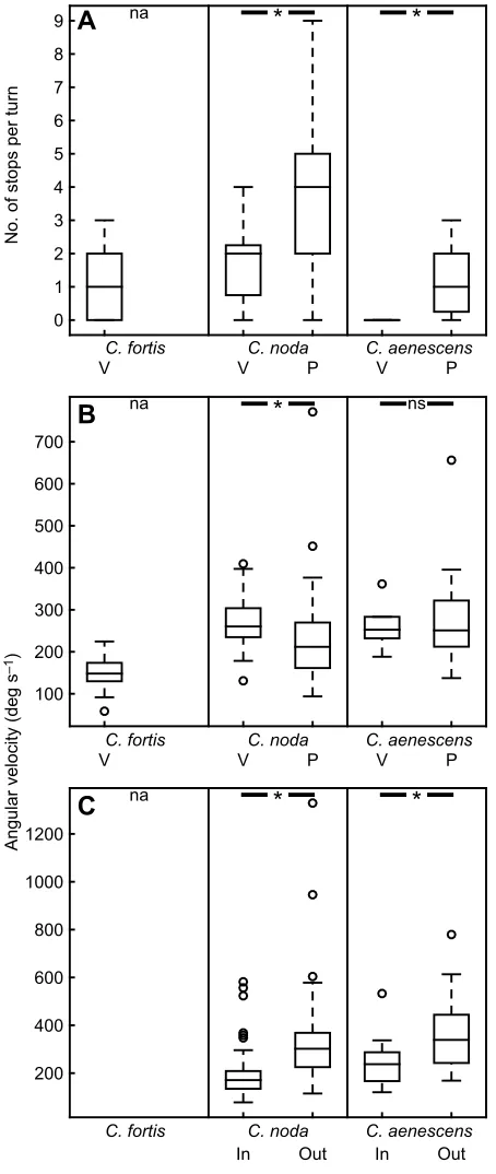 Fig. 5. Interspecies comparison of the different types of turn. The centralmark of each boxplot represents the median, the edges of the boxes are the25th and 75th percentiles, and the whiskers extend to the most extreme datapoints (excluding outliers)