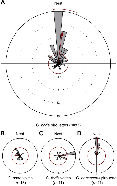 Fig. 6C). In contrast to C. noda, C. fortis never performed any