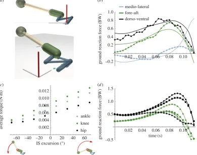 Figure 1. Simulating frog jumping. (downward rotation (flexion). (ground contact (final timemeasured (dotted) ground reaction force (GRF) components in laterala) Side/top views of the model (electronic supplementary material, table S1) with legs (blue), pe