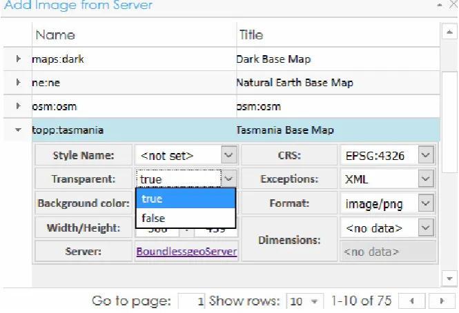 Figure 4: Setting WMS parameters through a paged table 
