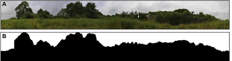 Fig. 2. 360 deg panoramic view from the feeder at the center of the test arena and the corresponding skyline profile