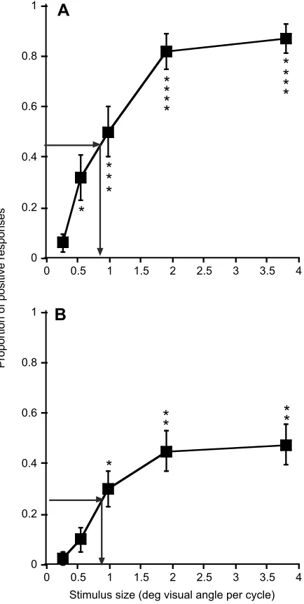 Fig. 3 shows the spatial detail visible to a conspecific A. sagrei
