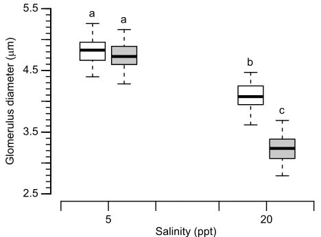 Fig. 1. Mean glomerulus diameter, conditioned on broad-sense geneticvariation and random variation due to measurement error