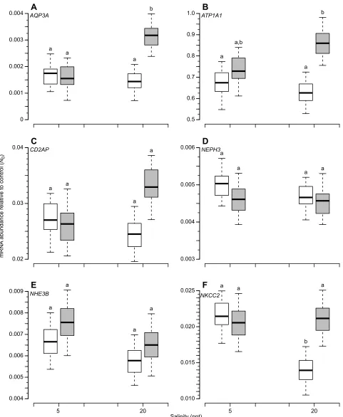 Fig. 3. Mean initial mRNA concentrations (N0), conditioned on broad-sense genetic variation and random variation due to measurement error (N=30–40per group)