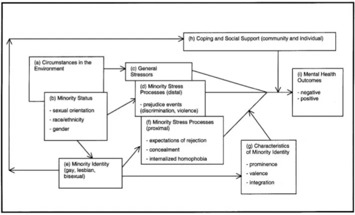 Figure 1: Minority Stress Process in Gay, Lesbian, and Bisexual Populations (Meyer, 2003) 