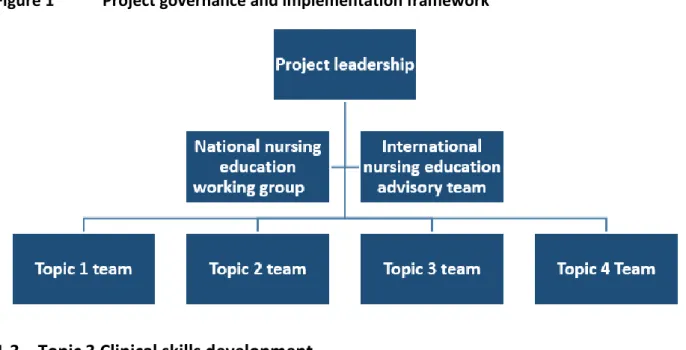 Figure 1  Project governance and implementation framework 