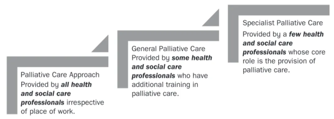 Figure 14.1  Levels of palliative care