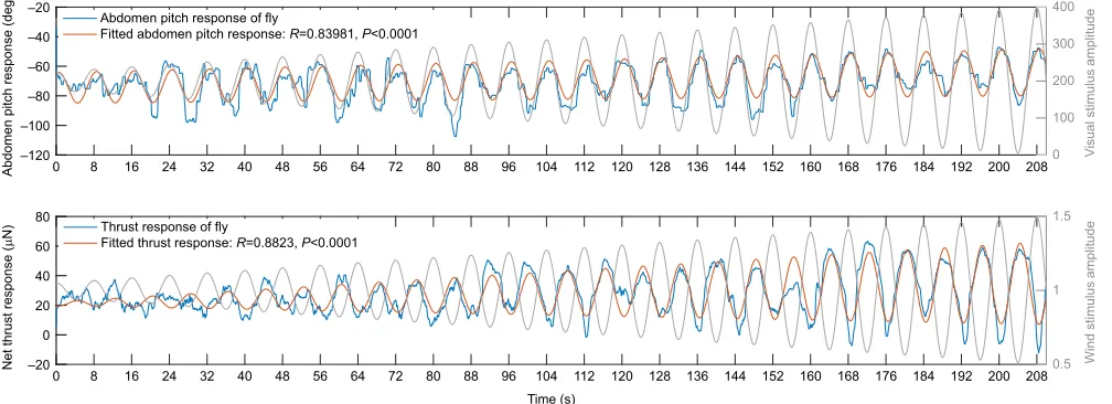 Fig. 2. Dynamic changes in response amplitude of abdomen pitch and net thrust recorded from one fly placed in an oscillatory virtual arena withlinearly increasing oscillation amplitudes of both visual and wind stimuli (at a frequency of 0.125 Hz) over the 