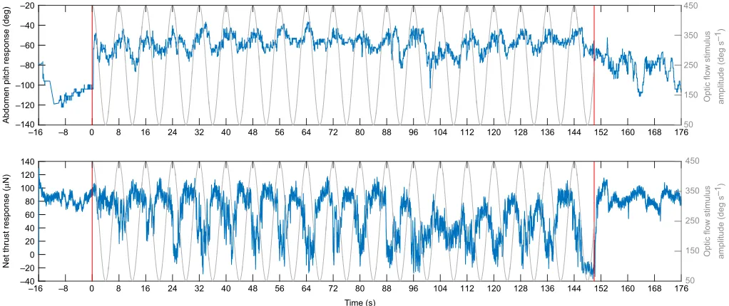 Fig. 3. Example of the time course of the pitch (top) and thrust (bottom) response recorded in a single experiment