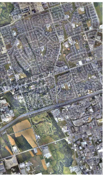 Figure 11: Automated Orthophoto Mosaic produced using the  Ajax03 DSS Test Flight 