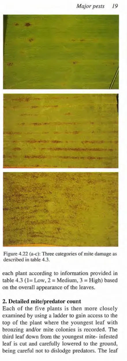 Figure 4.22 described (a-c): Three categories of mite damage as in table 4.3. 
