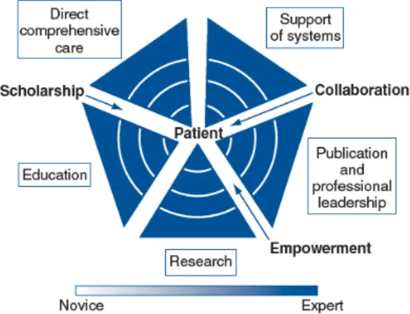 Figure 2: The Strong Memorial Hospital’ s model of advanced practice nursing  (Source: Ackerman et al., 1996) 