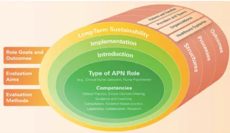 Figure 4: Evaluation framework matrix—key concepts for evaluating advanced practice nursing roles  (Source: Denise Bryant-Lukosius et al., 2016) 