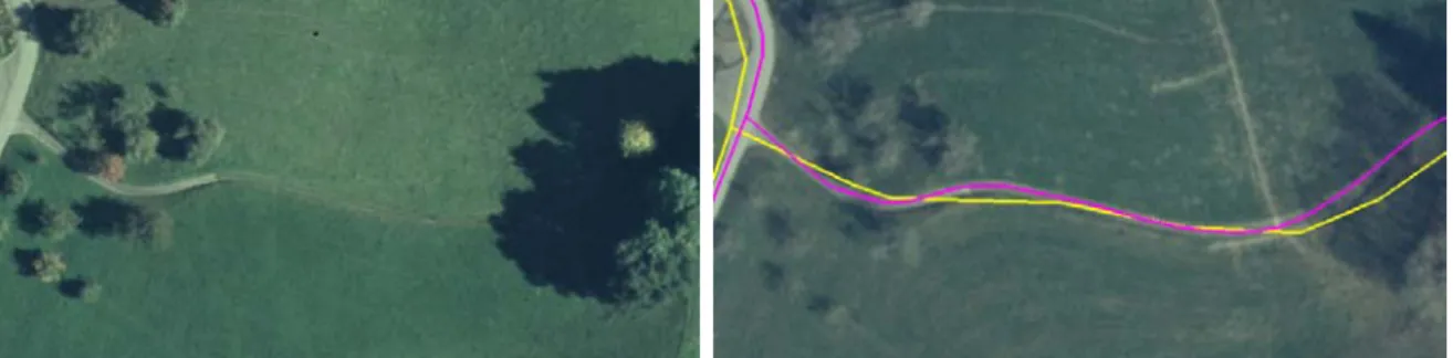 Figure 3. A Seasonal road only partially visible in summer image (left) is extracted in spring image (right)