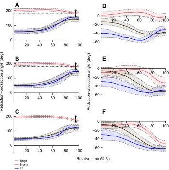 Fig. 5. Leg segment kinematics across arange of jump angles.the horizontal axis. Downward slopes indicateadduction