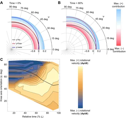 Fig. 7. Inverse kinematics (IK) predictions based on an average intermediate angle jump