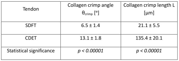 Table 3. Collagen crimp angle θcrimp [ᵒ] at the bottom of crimp wave and crimp length L [µm] (see Fig
