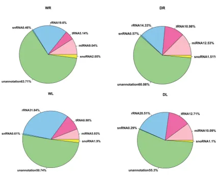 Figure 2. An overview of the frequency of different small RNA species present in the different groups