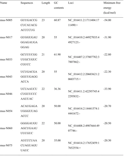 Table 2. Eight novel miRNAs identified from M. truncatula genome databases 