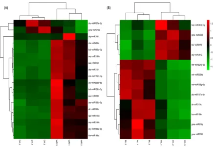 Figure 4. Heatmap representing the expression profile of the drought-responsive miRNAs
