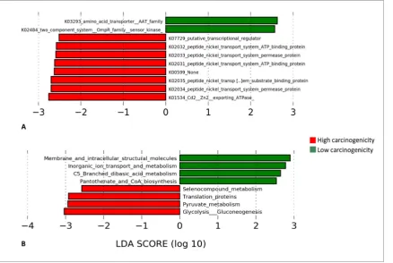 Figure 8. Differentially enriched functions.  Linear Discriminant Analysis Effect Size (LEfSe) analysis showing genes (A) and pathways (B) that were significantly differentially enriched between the low and high carcinogenicity groups (showing those with L