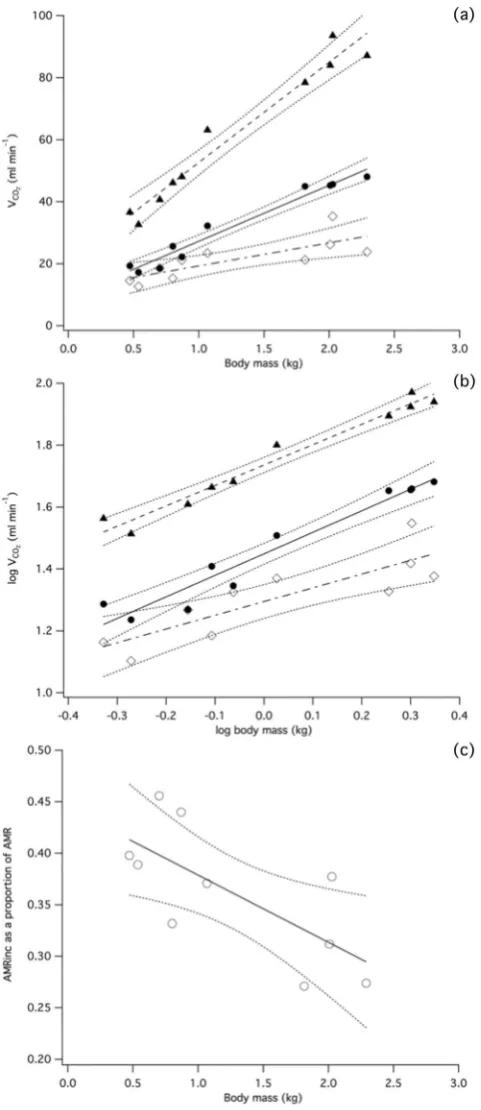 Figure 3. AMR (filled triangles), RMRunit mass, metabolic rate declines as body mass increases