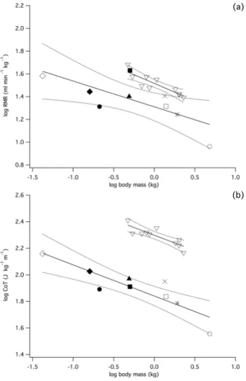 Figure 4. Comparative scaling of RMR and AMR variables in broilers and galliforms. ((filled square):y ml mina) Scaling of RMR (V˙O2: −1) in broilers (RMRsit: y = 1.517x−0.307; P = 0.001) and wild-type galliforms (intercept value at 0 ms−1: = 1.310x−0.227; 