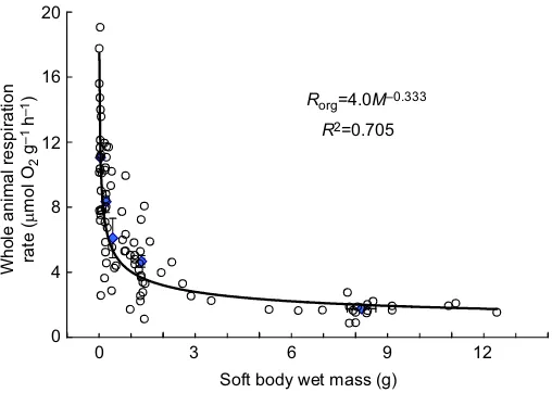 Fig. 1. Whole-animal respiration as a function of body mass. Blue pointsrepresent the mean±s.e.m