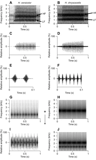 Fig. 1. Gray treefrog calls and synthetic stimuli. (A) Acall from D, illustrating the differences between the twospecies in pulse shape, pulse duration and pulserepetition rate