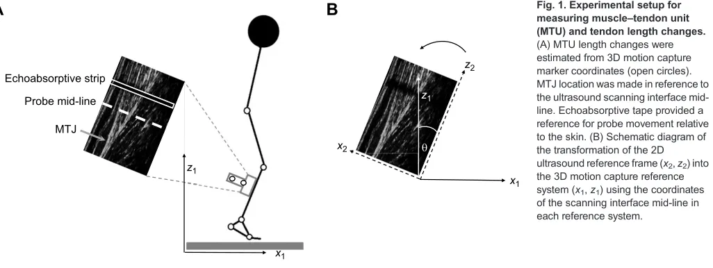Fig. 1. Experimental setup for