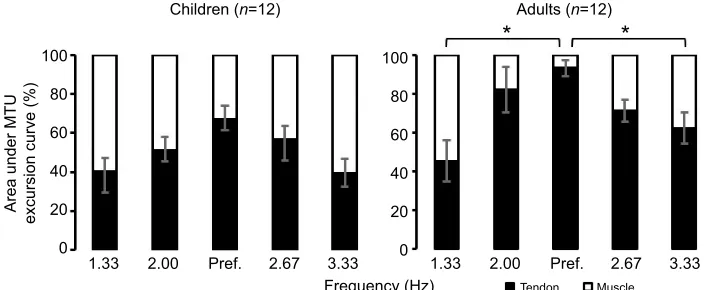 Fig. 2. Relative muscle–tendon contributions