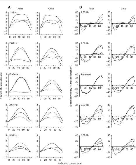 Fig. 3. Normalized excursion and velocity profiles of MTU, tendon and muscle during two-legged hopping at different frequencies
